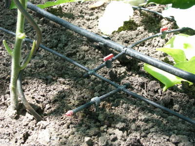 Bew�sserungssystem